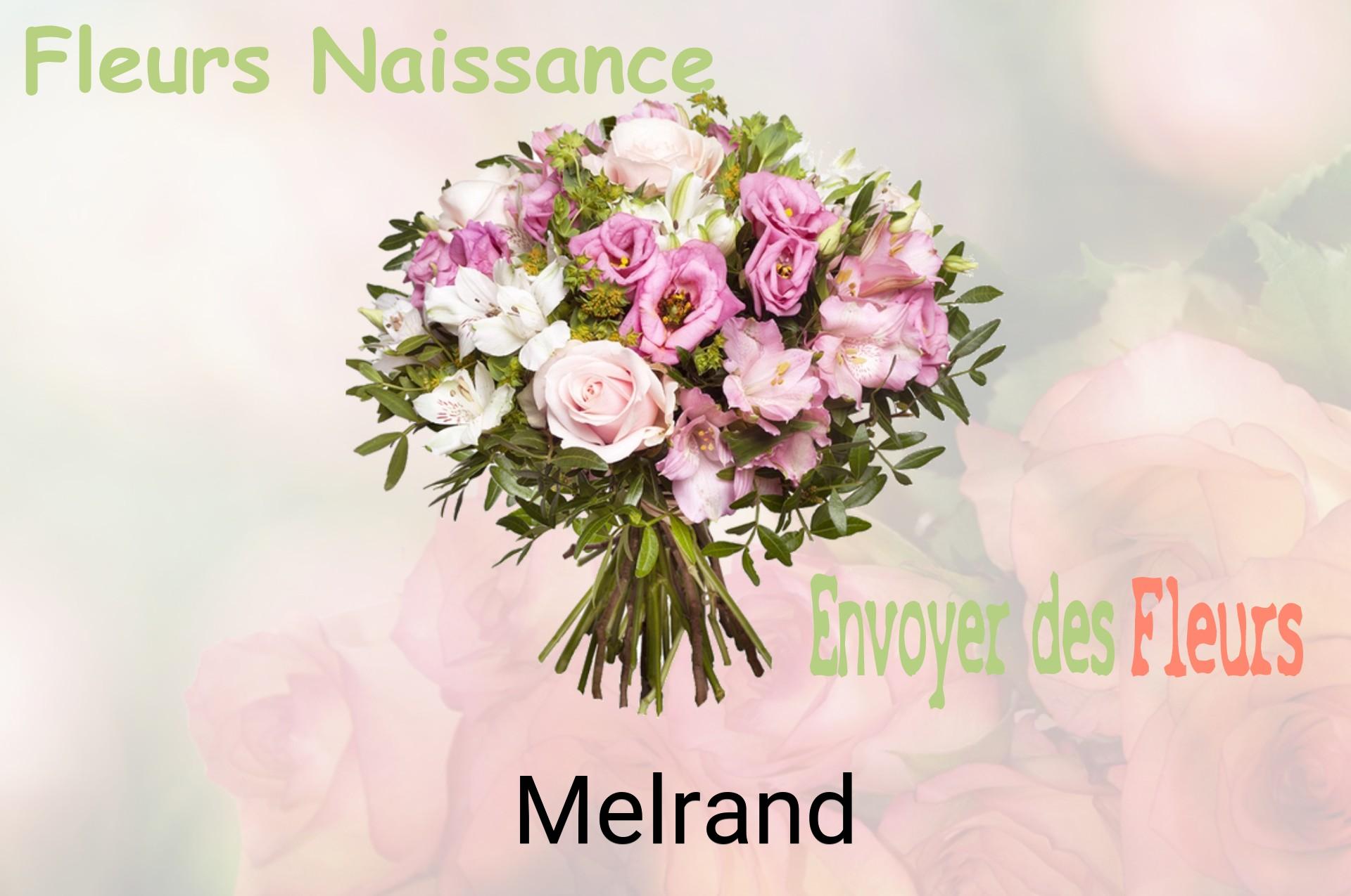 Bouquet de fleurs de naissance livré à Melrand